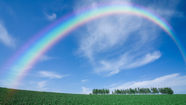 Wallpaper Desktop, Rainbow, Trees, View, Above, Landscape