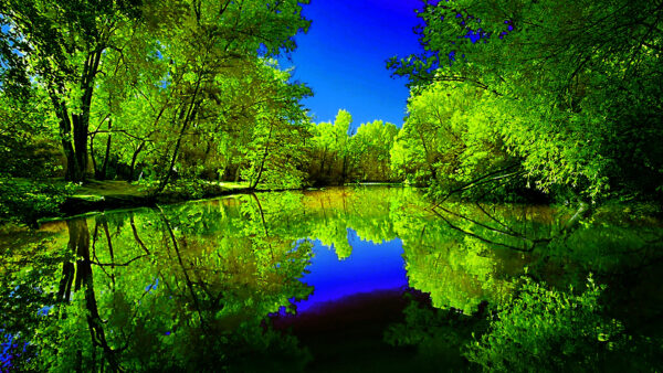 Wallpaper Trees, Forest, Desktop, Sky, With, Between, Green, Blue, And, Nature, River, Reflection