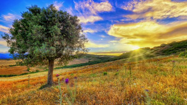 Wallpaper Sky, Clouds, Sunset, With, Meadow, Italy, Under, Nature, Desktop, Grass, Blue, Field, During