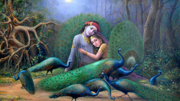 Wallpaper God, Krishna, Radha, Peacocks