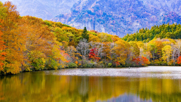 Wallpaper Autumn, Spring, Yellow, Trees, Background, Orange, Green, Mobile, Beautiful, Nature, River, Leafed, Mountains, Reflection, Desktop