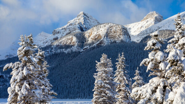 Wallpaper Snow, Mountain, During, Desktop, Mobile, Park, Winter, National, Banff, Covered, With, And