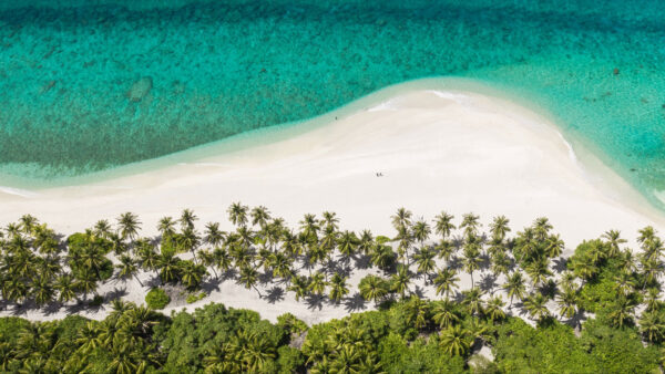 Wallpaper Aerial, Island, Nature, Desktop, View, Trees, Palm, Mobile, Beach, Sand