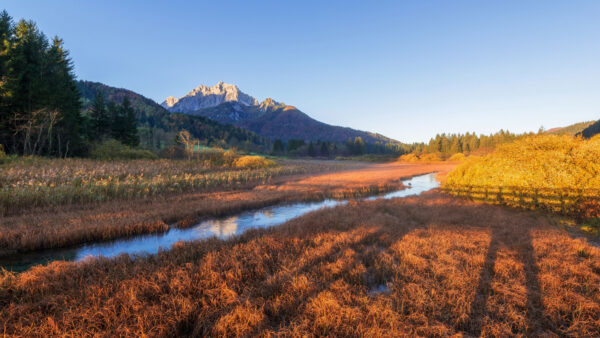 Wallpaper Plants, Mountains, Landscape, Between, Trees, View, River, Nature, Field, Dry, Mobile, Grass, Desktop