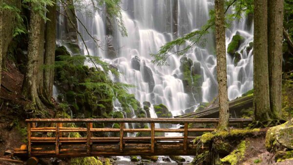 Wallpaper Bamboo, Wood, Waterfalls, Background, Beautiful, Bridge