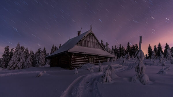 Wallpaper Snow, Covered, And, Nature, Trees, House