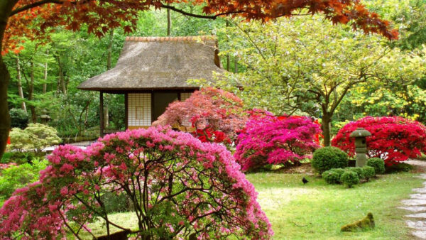 Wallpaper Trees, Colorful, Background, Hut, Garden, Flowers, Scenery