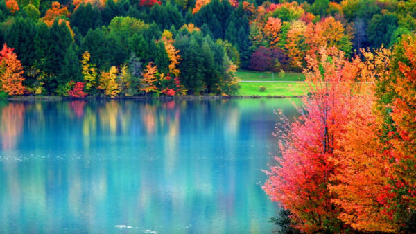 Wallpaper Beautiful, Green, Reflection, Trees, Fall, Red, Yellow, River, Scenery