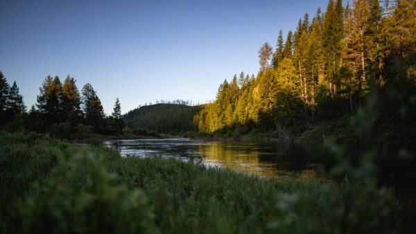 Wallpaper Under, Mobile, Nature, Beautiful, Green, Desktop, River, Sky, Between, Trees, Blue, Plants, Bushes, Hills