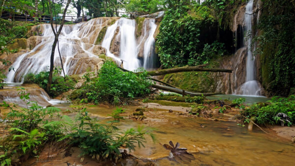 Wallpaper Trees, Nature, Pouring, Stream, Bushes, River, Rocks, Waterfalls, Fence, Plants