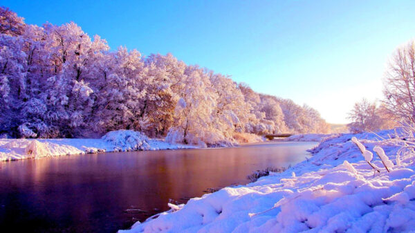 Wallpaper Snow, Sky, Under, River, Blue, Between, Nature, Covered, Trees