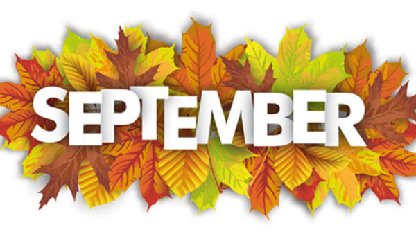 Wallpaper Letters, Background, September, Leaves, White, Colorful