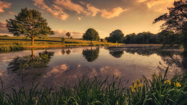 Wallpaper Reflection, Between, And, Water, Green, Under, Trees, Field, White, Lake, Nature, Clouds, Blue, Grass, Sky