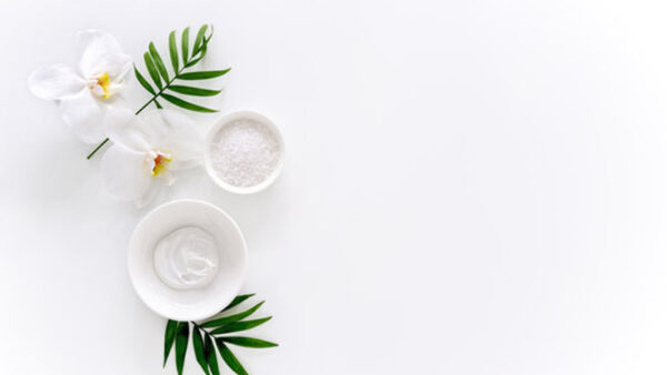 Wallpaper Background, Flowers, Leaves, White, Cups, Green