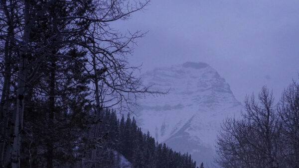 Wallpaper View, Sky, Nature, Trees, Fog, Bushes, With, White, Desktop, Covered, Landscape, Snow, Mountains, Mobile, Forest, Background