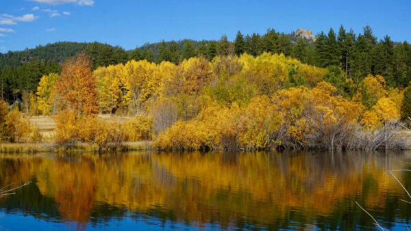 Wallpaper River, Yellow, Fall, Sky, Autumn, Reflection, Trees, Background, Green, Blue