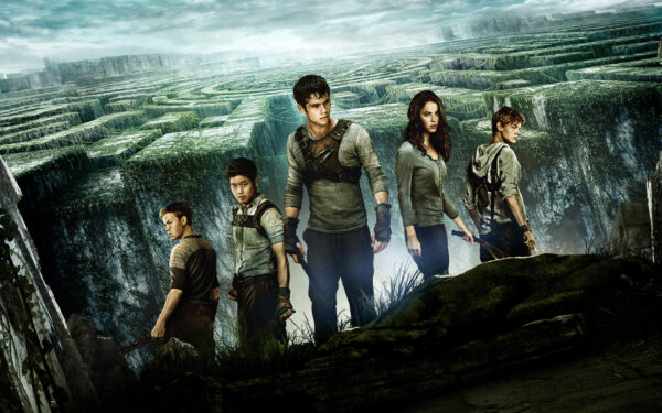 Wallpaper Maze, Runner, 2014