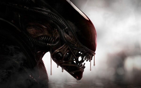 Wallpaper Alien