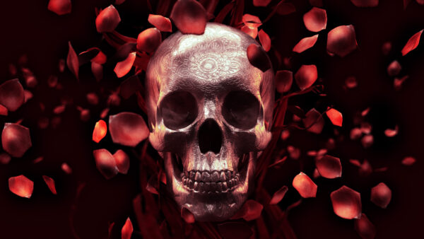 Wallpaper Petals, Rose, Skull