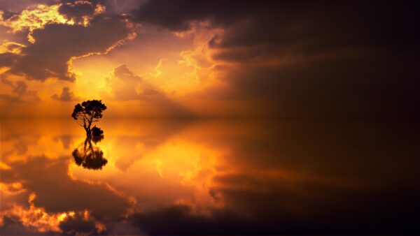 Wallpaper Sunset