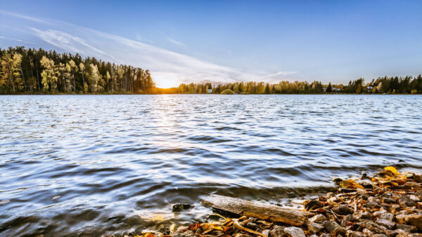 Wallpaper Lake, Horizon, Images, 4k, Mobile, Background, Desktop, Nature, Sun, Landscape, Wallpapers, Stones, Phone, Wallpaper, Pc, Trees, Cool