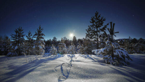 Wallpaper Under, During, Covered, Sunrise, Snow, Landscape, Winter, Sky, Blue, Desktop