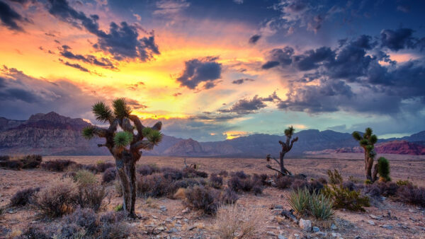 Wallpaper Cool, Mountains, Under, Sky, Images, Wallpaper, Background, Nature, Desktop, Landscape, Pc, Sunset, Rock, Black, During, Free, Brown, 1920×1080, Download