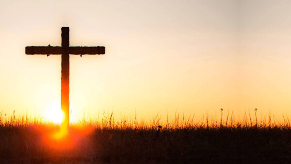 Wallpaper Cross, Desktop, Green, During, Grass, Sunrise