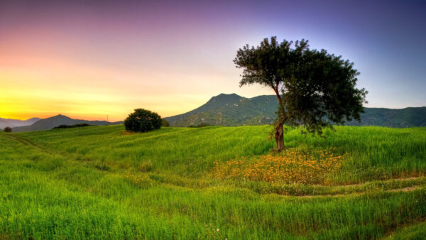 Wallpaper Sky, Greenery, Purple, Nature, Beautiful, Land, Under, View, Landscape, Mountains, With, Light