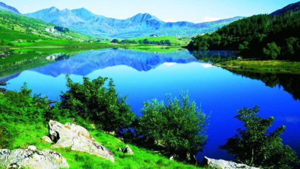 Wallpaper Grass, Nature, Mountain, River, Green, With, Trees, Surrounded, Reflection, And, Desktop