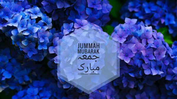 Wallpaper Blue, Flowers, Text, Mubarak, Jumma, And