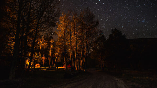 Wallpaper With, Tent, Under, Nature, Desktop, Green, Forest, Mobile, Lights, Nighttime, Sky, Trees, During, Starry