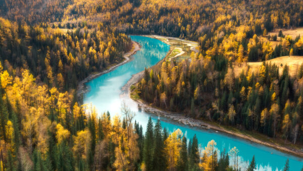 Wallpaper Daytime, Trees, Beautiful, Between, River, During, Nature, Blue, Covered, Forest