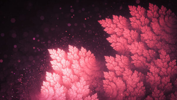 Wallpaper Abstraction, Leaves, Desktop, Mobile, Abstract, Fractal, Red