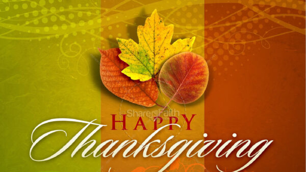Wallpaper Background, Orange, Green, Thanksgiving, Happy