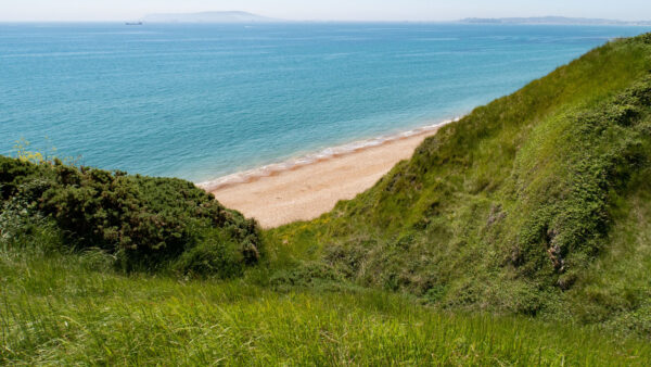 Wallpaper Grass, Waves, Bushes, Mobile, Beach, Green, Sand, Ocean, Desktop, Trees, View, Aerial