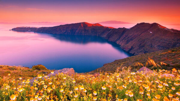 Wallpaper River, Background, Sky, Mountains, Nature, Flowers, Purple, View, Field, Rocks, Closeup, And