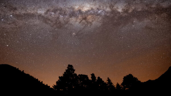 Wallpaper Under, Trees, Desktop, With, Dirty, Stars, Luminous, Clouds, Shadown, Galaxy