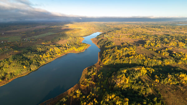 Wallpaper Aerial, Yellow, Between, Trees, View, Green, Sunlight, With, Autumn, River