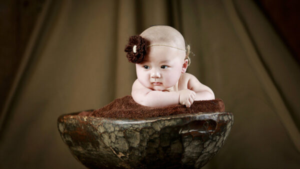 Wallpaper Covering, Brown, Baby, Turkey, With, Cute, Background, Towel, Blur, Child