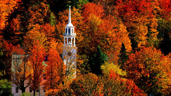 Wallpaper Church, Autumn, Surrounded, Beautiful, Fall, Trees