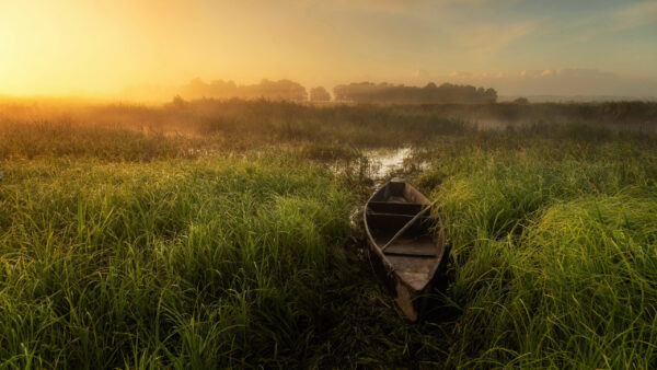 Wallpaper Swamp, Lake, Blue, Green, Under, Nature, Fog, Grass, Sky, With, Field, Boat
