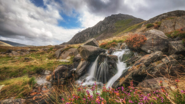 Wallpaper White, Stream, Blue, Colorful, Mountain, Nature, View, Under, Grass, Flowers, Clouds, Landscape, Green, Waterfalls, Sky, Peak