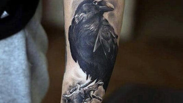 Wallpaper For, Perched, Forearms, Men, Raven, Tattoo