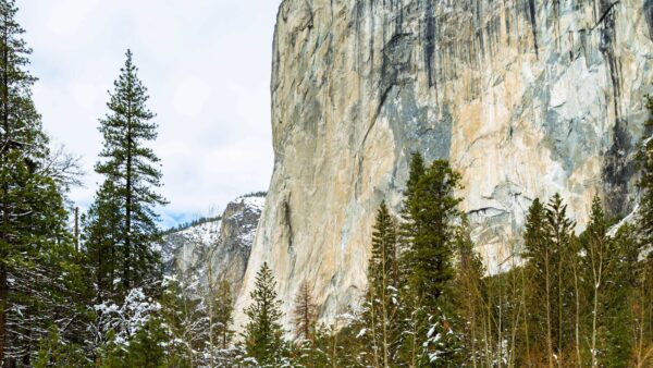 Wallpaper Desktop, Sky, Nature, Spruce, With, Mountains, Snow, Trees, Blue, Rock, Background, Mobile