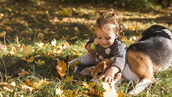 Wallpaper Wearing, Green, Sitting, Grey, Child, Grass, Color, Dog, Girl, With, Playing, Cute, Baby, Dress