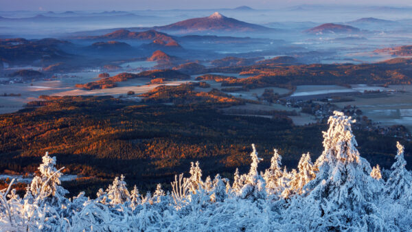 Wallpaper Bushes, Covered, Landscape, Yellow, Snow, Closeup, Mountains, Fog, View, With, Nature, Trees, Autumn, And, Green