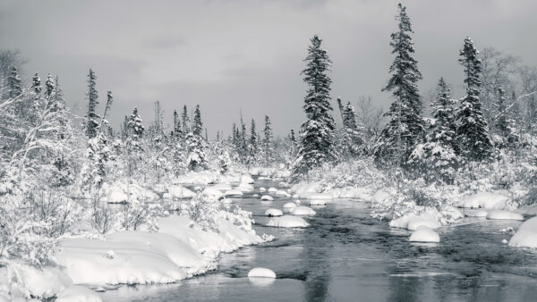 Wallpaper Frozen, With, Under, Nature, White, Covered, Clouds, Trees, Sky, Forest, Fog, River, Snow