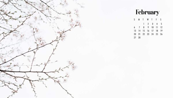Wallpaper Blossom, February, Flowers, White, Calendar