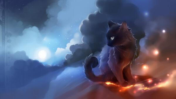 Wallpaper Warrior